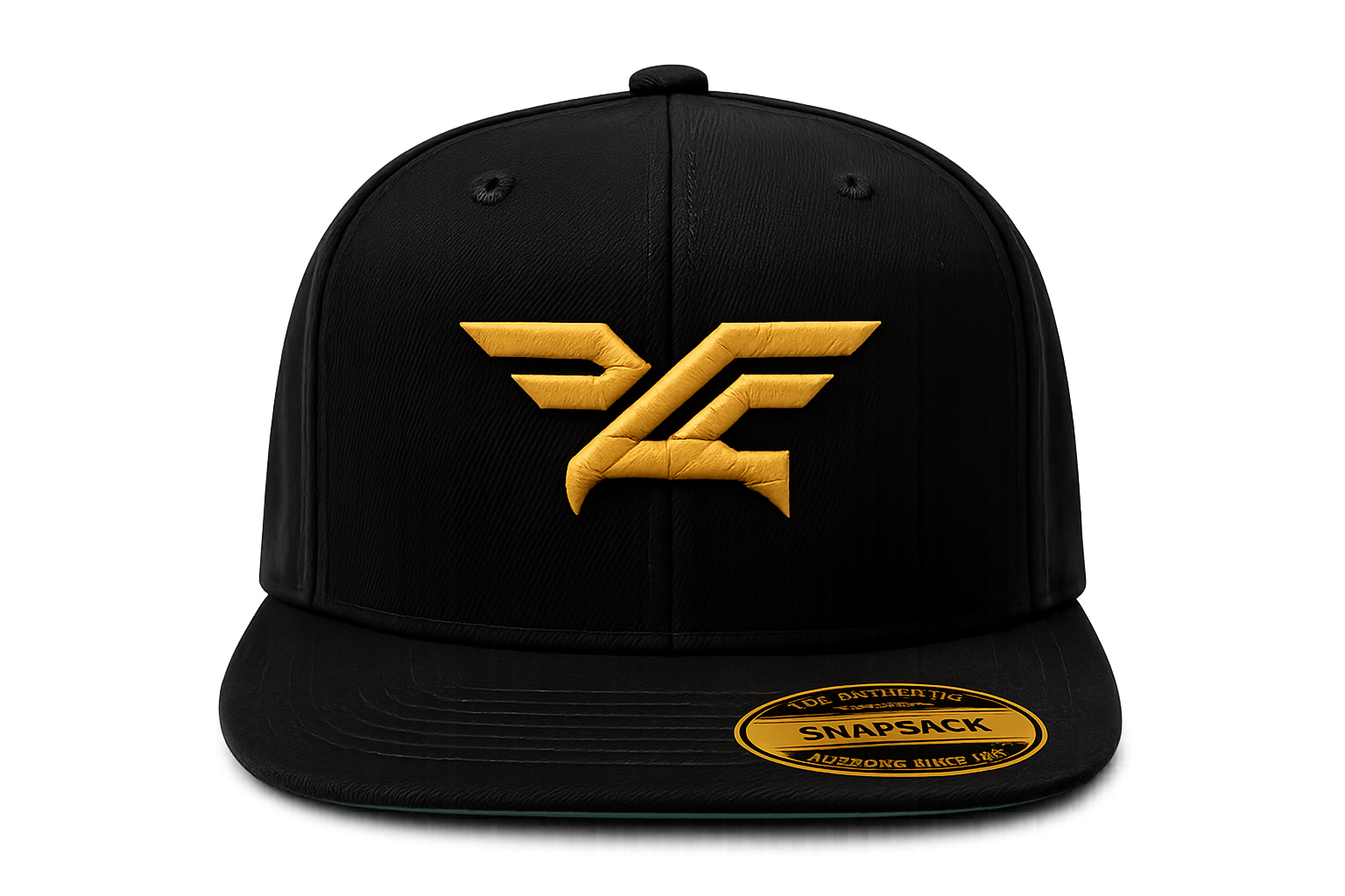 UNLTD FAITH Chapter I Armor of God premium structured black snapback with gold embroidered wing logo.